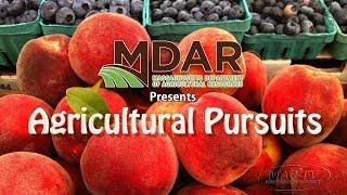 Agricultural Pursuits - Episode 1: State Apiary Program