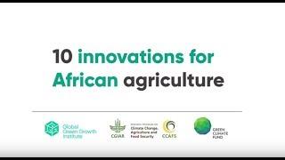 10 innovations to advance African agriculture for food and climate security