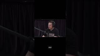 Elon Musk talking about AI and symbiotic cortex  #ai #cortex  #elonmusk  #joerogan  #part3