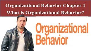 Organizational Behavior Chapter 1: What is Organizational Behavior?