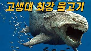 둔클레오스테우스는 어떻게 살았을까?｜머리 갑옷은 정말 보호용이었을까?