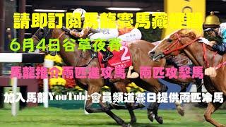 2025年6月4日谷草夜賽馬龍提供兩匹進攻馬兩匹攻擊馬