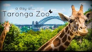 Taronga Zoo, Sydney Australia