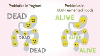 Power of Koji - behind Japanese fermented foods and seasonings!