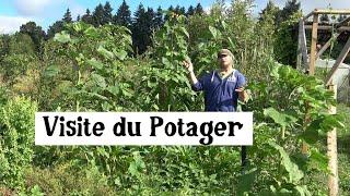 Visite du Jardin Potager !