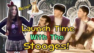 First Time! I React To THE THREE STOOGES Malice In The Palace! THE THREE STOOGES Reaction!