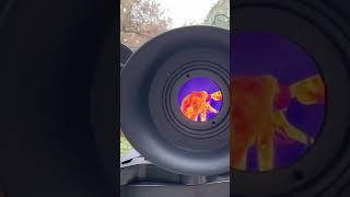 Go to the Zoo with Ulirvision Thermal Imaging Telescope #hunting #thermalimagingcamera #imaging