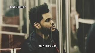 The Weeknd - The Birds Part 1 & 2 (Subtitulado Español)