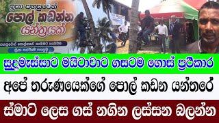 පොල් කඩන යන්තරේ අලුත්ම කථාව /නැවත බලන්න අපේ කොල්ලෙක්ගේ වැඩක්/සුදුමැස්සට මයිටාවටත්තිත/@ADARATANEWS