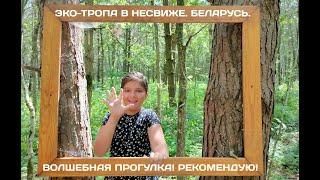 Экологическая тропа в Несвиже "Волшебный мир Завитанского леса". Беларусь.