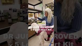 Dr. Judy Approved | 5 Leaf Heart Kit