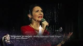 Janika Sillamaa - Valguses ja varjus