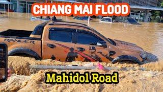 Chiang Mai Flood update 5th October On Mahidol Road