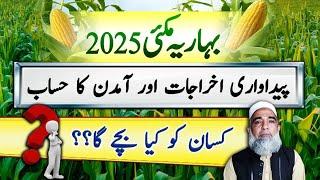 Cost and Profit analysis of Spring Maize 2025 || Crop Reformer