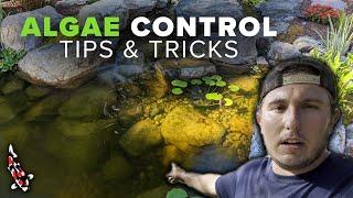 How To Control Algae In Your Water Feature (Algae Treatment Guide)
