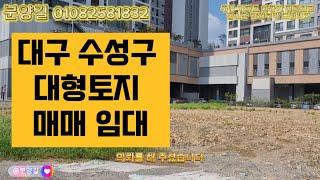 1210평 대구 수성구 대형 토지 매매 임대 대형유통 병원 추천