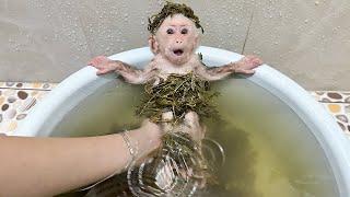 Lala bathes and relaxes with herbal water!