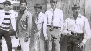 The Beachnuts - Nature's Company ('60s JANGLY GARAGE PSYCH)