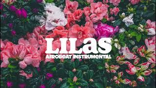 Afrobeat BEAT TYPE l SUMMER Instrumental l "LILAS" (prod.DemsRiddim)