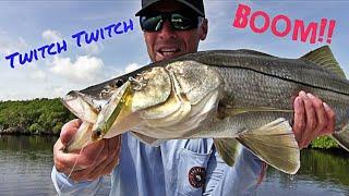 Topwater Chronicles Volume 7-  Twitch, Twitch, BOOM!!