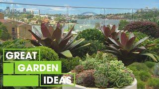 We show you the best plants for a Rooftop Garden | GARDEN | Great Home Ideas