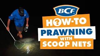 How to Catch Prawns with a Scoop Net