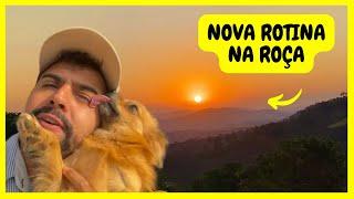 Minha Rotina Morando Sozinho Cuidando dos Animais e Trabalhando na Lavou do Café | Gutejando