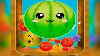 Kawaii Fruits 3D - Watermelon - New Game 2024 - New Android Games 2024