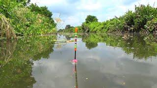 cara ampuh 99% hindari ikan kecil di spot mancing nila favorit mu