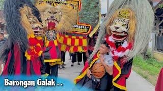 BARONGAN GALAK !! Arak Arakan Barongan Blora & Reog Ponorogo Seni Barongan Sekar Gading Seto