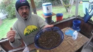 DIY Bubble Hash Making Tutorial Using Trim (2019)