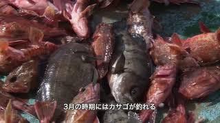 姫島の伝統漁法（８つの漁法紹介）
