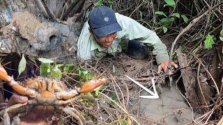 Tóm Gọn Bầy Cua Khủng Và Dấu Tích Đáng Sợ