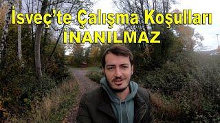 İsveç'te İnanılmaz Çalışma Koşulları