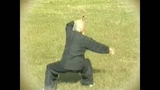 Bagua Hunyuan Yangsheng Gong with Master Lu Zijian