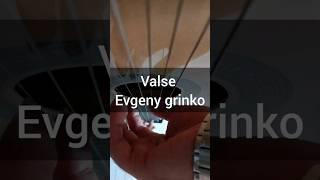 Evgeny Grinko _ valse (fingerstyle guitar)