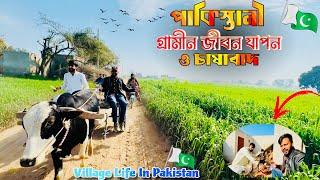 পাকিস্তানী পাঞ্জাবীদের গ্রামীন জনপদ ॥ Village Life In Pakistan  ॥ পাকিস্তানী গ্রামীণ জীবন ও কৃষি