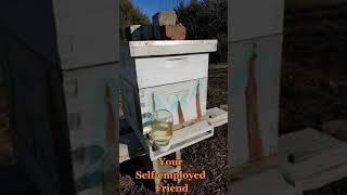 Being self-employed has its ups and downs. Rich months and poor months.  #advice #businessowner