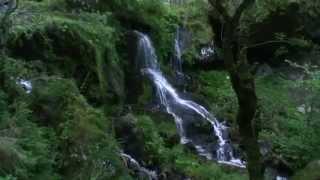 Rando en Auvergne : Le Sancy (Chamois, Grande Cascade, Chaudefour, Chambon des neiges, Le Mont-Dore)