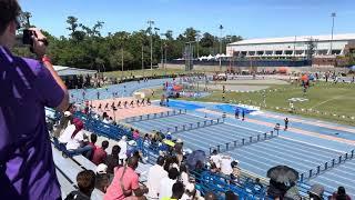 Women’s 100m hurdles Finals Tom Jones Invitational 2024 @uflorida