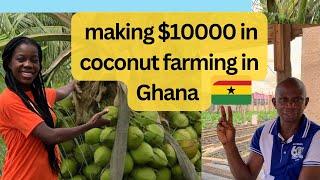 The Cost of starting coconut farming from scratch and the  Profits of $10000 to make In Ghana