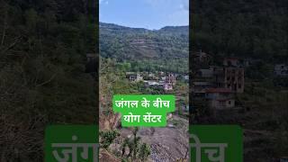 #jungle #nature #yoga #meditation #center #rishikesh #uttarakhand