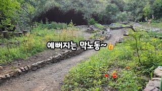 돌담 쌓으면서 밭에서 나온돌들 정리도되고~ 예뻐지는 텃밭이야기