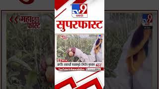 SuperFast News 100 | सुपरफास्ट न्यूज 100 | 1 Jun 2025 | Marathi News tv9