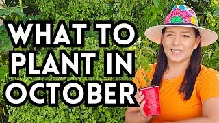 Top 30 Veggies To Plant In October For A Thriving Fall Garden