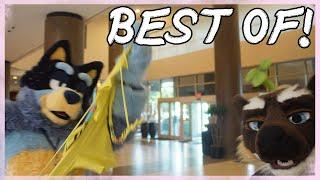 You haven't seen FURRY like this before! | Best of Fursuits - TTFC 2023