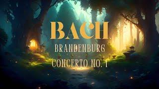 Bach: Brandenburg Concerto No. 1 in F major BWV 1046