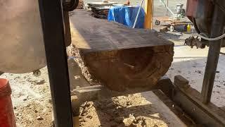 SawMilling a Butternut (white walnut) loaded with figuring and burl on a homemade sawmill.