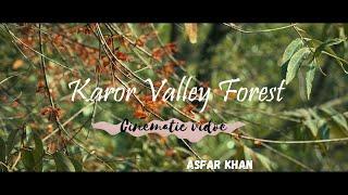 Karore Valley Forest | Cinematic Video story | Asfar Khan Vlogs