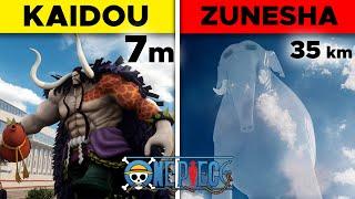 ‍️ ONE PIECE Size COMPARISON ● SEEN in FIRST PERSON!